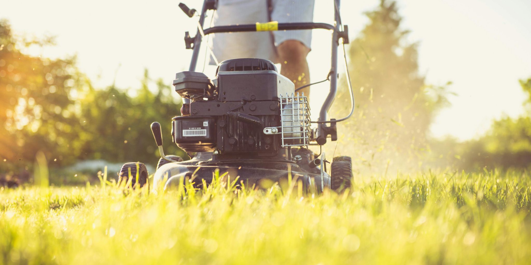 Rasenpflege im Herbst: Praktische Tipps