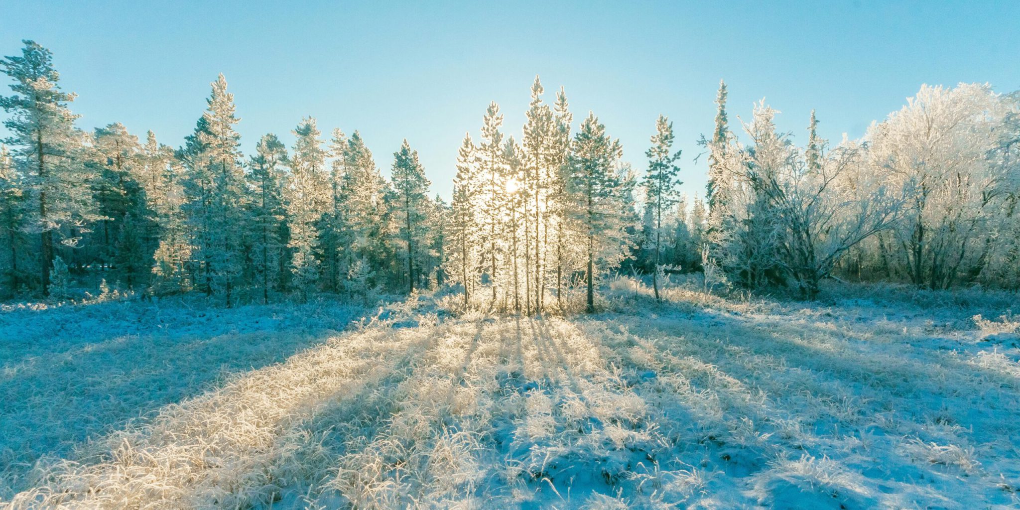 Wie schütze ich meine Immobilie vor Frostschäden im Winter?